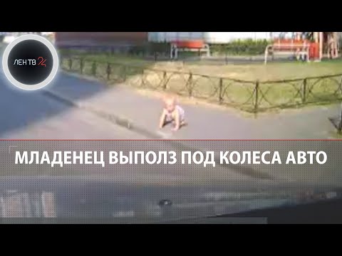 В Кудрово младенец выполз на дорогу под колеса машины