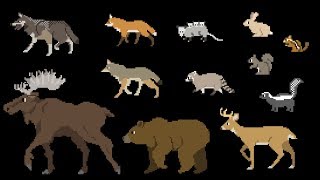 Forest Animals - Book Version - The Kids' Picture Show (Fun \& Educational Learning Video)