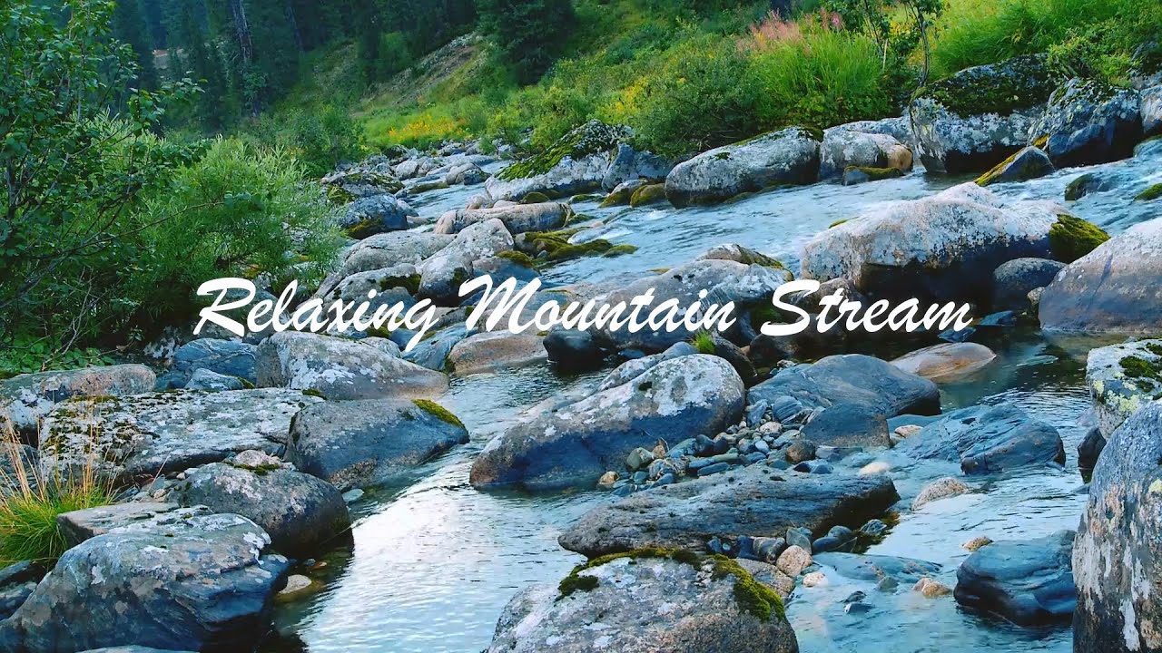 Шум горного ручья с пением птиц для отдыха,снятия стресса. Журчание ...