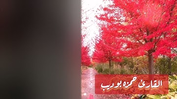 ولقد خلقنا الانسان ونعلم ما توسوس به نفسه ونحن اقرب اليه من حبل الوريد بصوت حمزه بوديب تلاوه طمأنينه