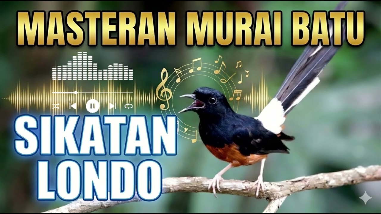 MASTERAN MURAI BATU SIKATAN LONDO VERSI AK47