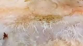 Mehmet Sanlidan Efsane Bi Sarki