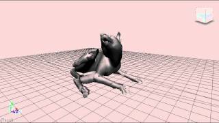 wolf idle animation