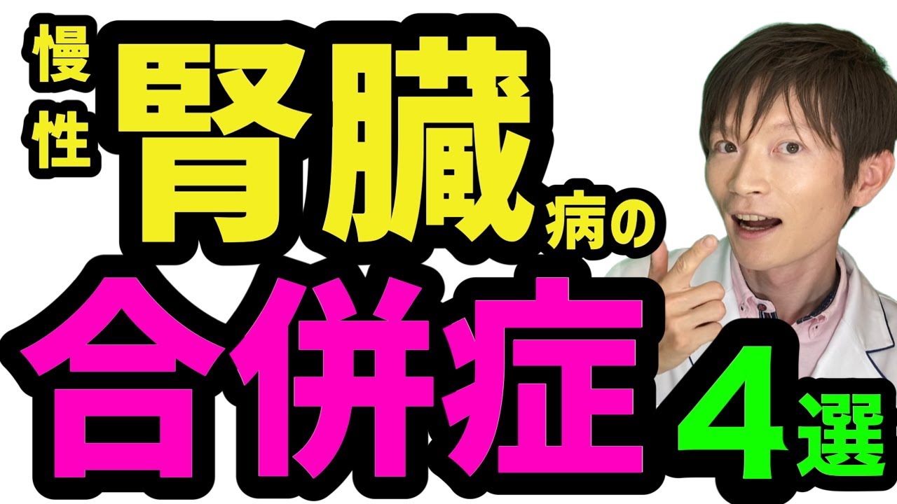 腎臓 について 正しい の は どれ か 2 つ 選べ