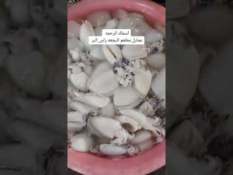 مطعم البجعه راس البر اكلات جوبا