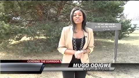 Protecting yourself against Spring time allergies