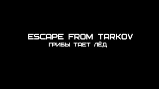 Клип Грибы- Тает лёд “Escape From Tarkov” #EFTвидео