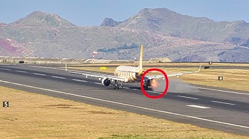 BIRD STRIKE Condor Airbus A321 at Madeira Airport