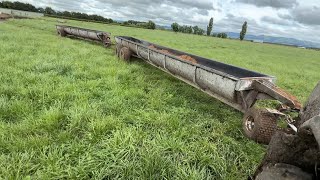 Download Lagu Needed More Meal, Cows Are Milking  MP3