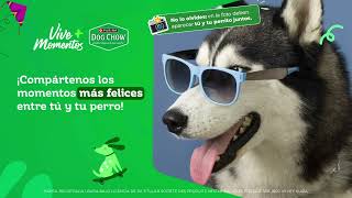 🐶Esa conexión con tu perro, puede hacerlos ganar.🎁💚¡Descúbrelo aquí!🤩​​