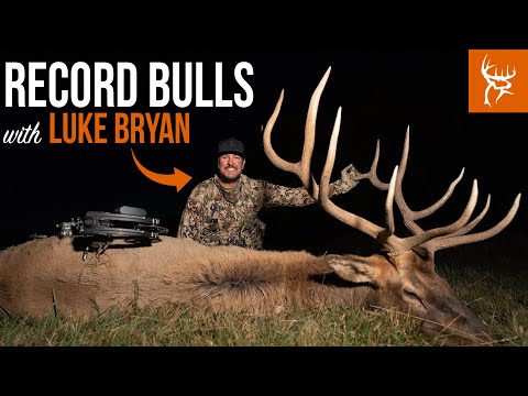 CARNAGE in COLORADO | Luke Bryan & sons chase BIG BULLS