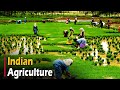 Agriculture in india  documentary