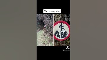 Thumbnail of Creepy Things Found In The Woods 🕷