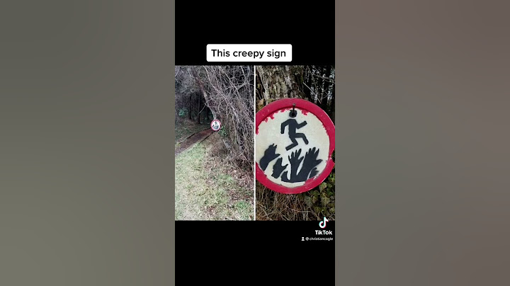 Creepy Things Found In The Woods 🕷