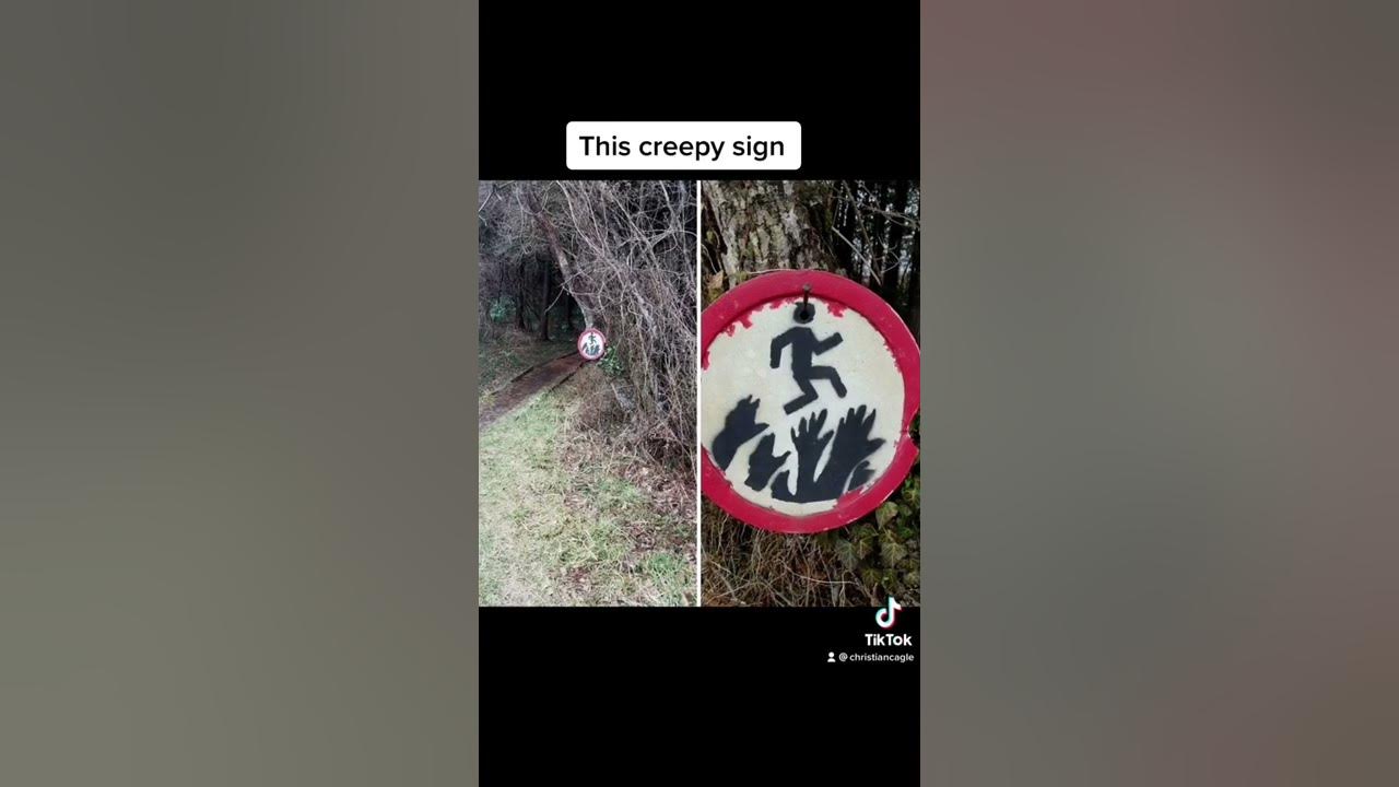 Creepy Things Found In The Woods 🕷