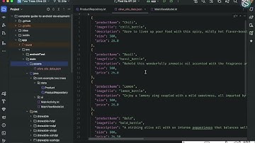 Read Files from Assets in Android | Kotlin Tutorial