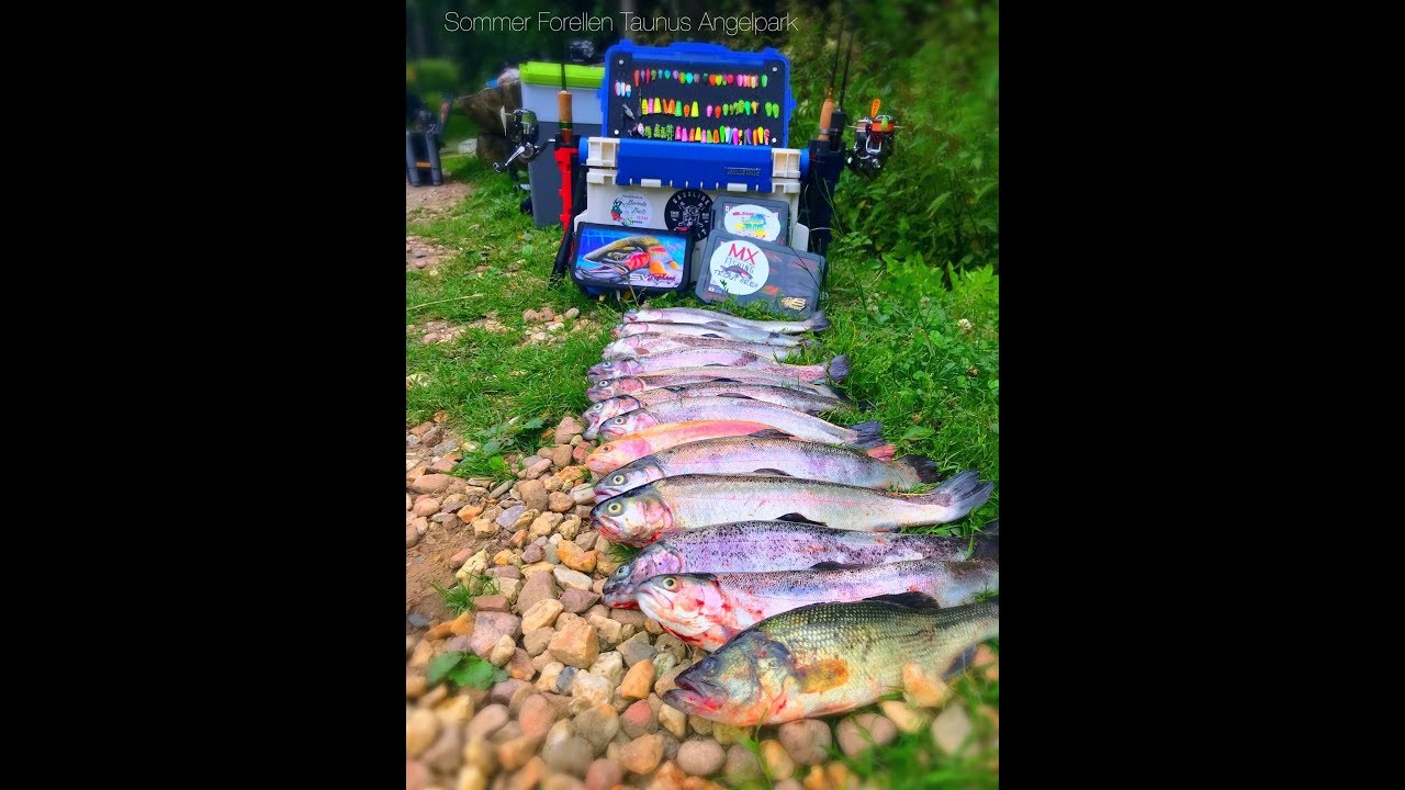 UL Angeln auf Sommerforellen in Taunus Angelpark mit Sv Spoons und Jara