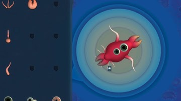 Spore | Glitch | Using asymmetry in Cell Stage