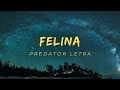 Hector y tito  felina visualizer