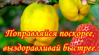 Поправляйся поскорее🍋выздоравливай быстрее🍒Красивое пожелание для здоровья💐Будь здоров всегда