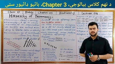 Hierarchy of Taxonomy Class 9 Biology Chapter 3 Biodiversity Lec. 4 | Taxonomic Herarchy Pashto