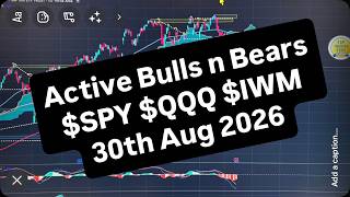 WEEKLY UPDATE VIDEO  #AVGO #DELL #ZS #PANW earning ahead