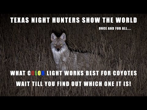 What COLOR works best for night hunting? You'll never guess which one! Night Crew S5E8