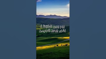 راحة نفسية تلاوة هادئة من سورة الفرقان #قرآن #اكسبلور #عبدالرحمن_مسعد #الحياه #تلاوة_خاشعة #لايك