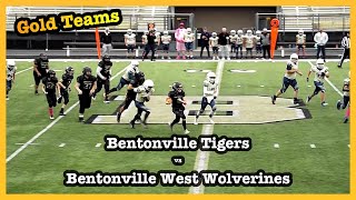 Tigers vs Wolverines Game Video | Oct 14, 2023