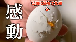 【感動】巣から落ちてきた卵を育てた結果