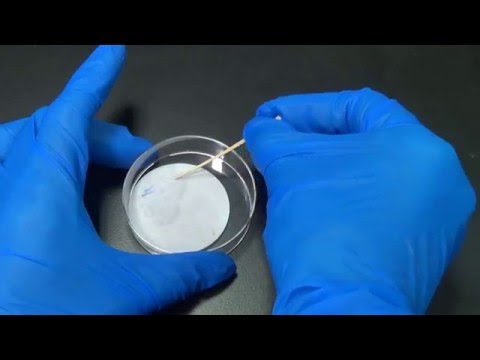 Video: Waarom moet de oxidase-test onmiddellijk worden gelezen?
