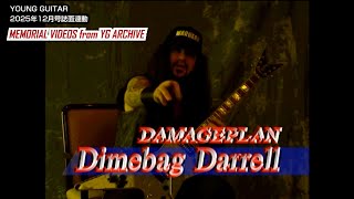 Dimebag Darrell ギターピック Amazon.com: Seymour Duncan Dimebag Set Zebra Electric Guitar