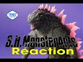 Shmonsterarts godzilla 2024 reaction godzilla godzillaxkongthenewempire monsterverse