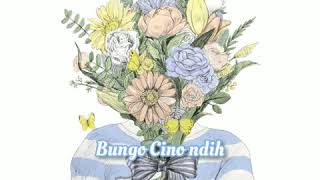 #bungocino #coverlagukerinci #coverlagu Lagu Kerinci BUNGO CINO (cover lirik )