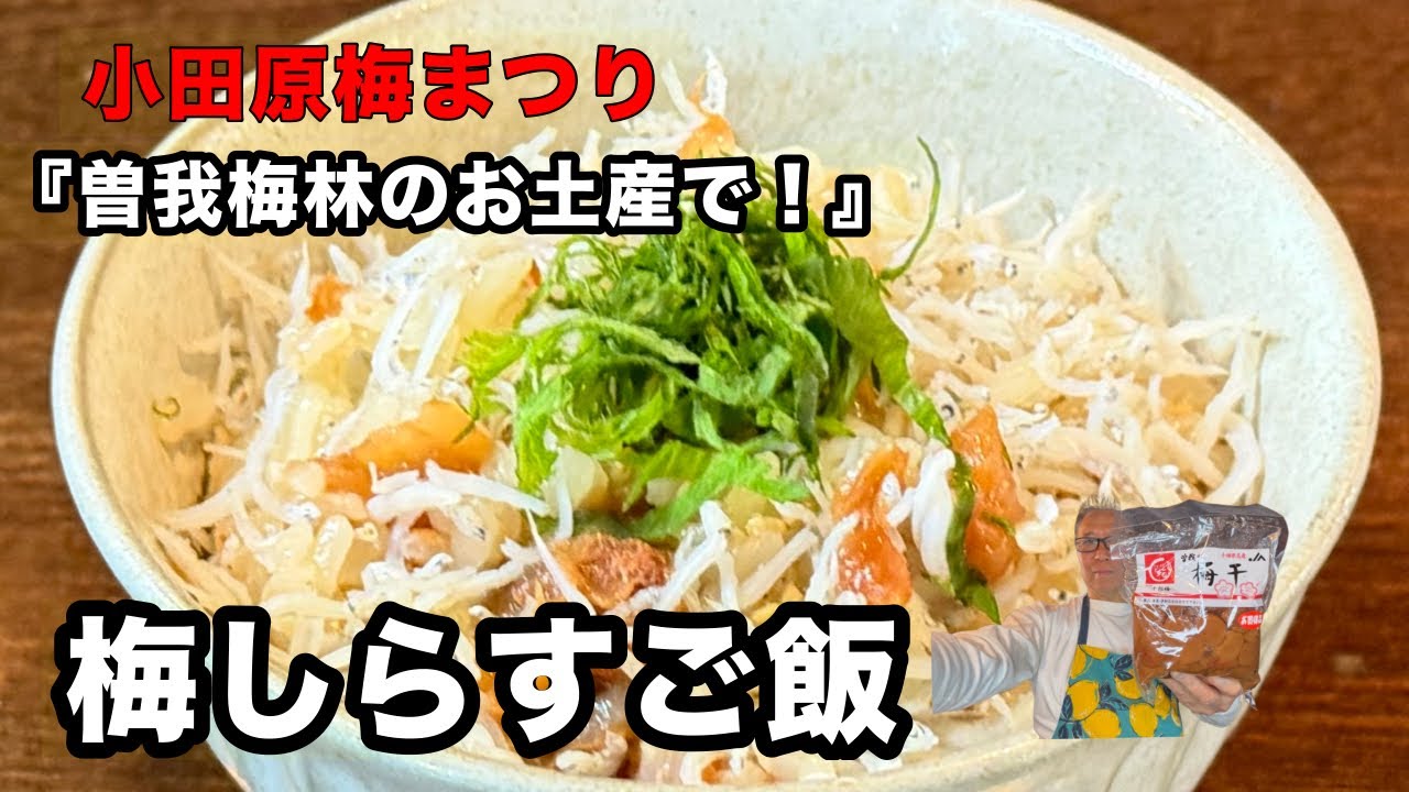 『梅干しの王様』曽我梅林の十郎梅で作る【至高の梅しらすご飯】