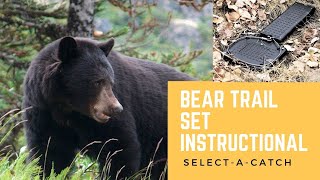Bear Trail Set Instructions