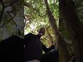 Up In The Tree Tengetenge Funny Comedyshorts Shortsvideo Tenge Comedyvideos Halloween Tenng 