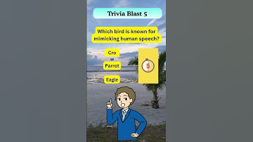 "Think You’re Smart? Prove It With This Trivia! 💡"