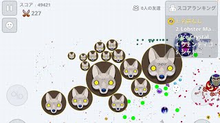 Agar.io mobile solo sever take over in Japan🇯🇵