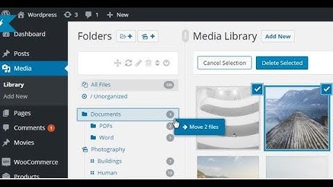 Media Library Folder & File Manager for Media Management 2.55 $ Only