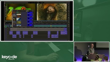 MEDIA COMPOSER 2019: PROJECTS, BIN LAYOUT UPDATED