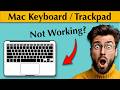 Mac Keyboard or Trackpad Not Working? Test Them with New Apple Diagnostics!