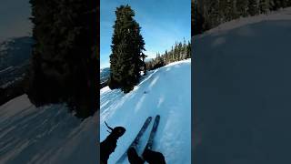 Avoiding The Tree Line In Whistler