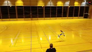 Vol Radiocommandé Indoor Au Cmpg - Démo Arnaud - Divonne Avril 24