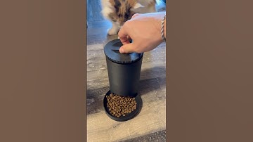 I 3D Printed a Cat Feeder! 😂 #shorts #3dprinting #diy