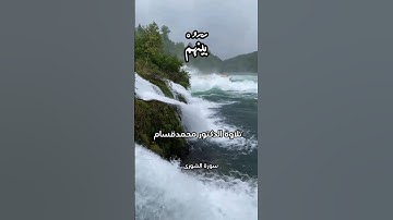 سورة الشورى الآية38 #سورة_الشورى #قرآن #قرآن #quran #سورة الشورى