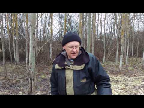 Пинпоинтер? Не понимаю этих людей...