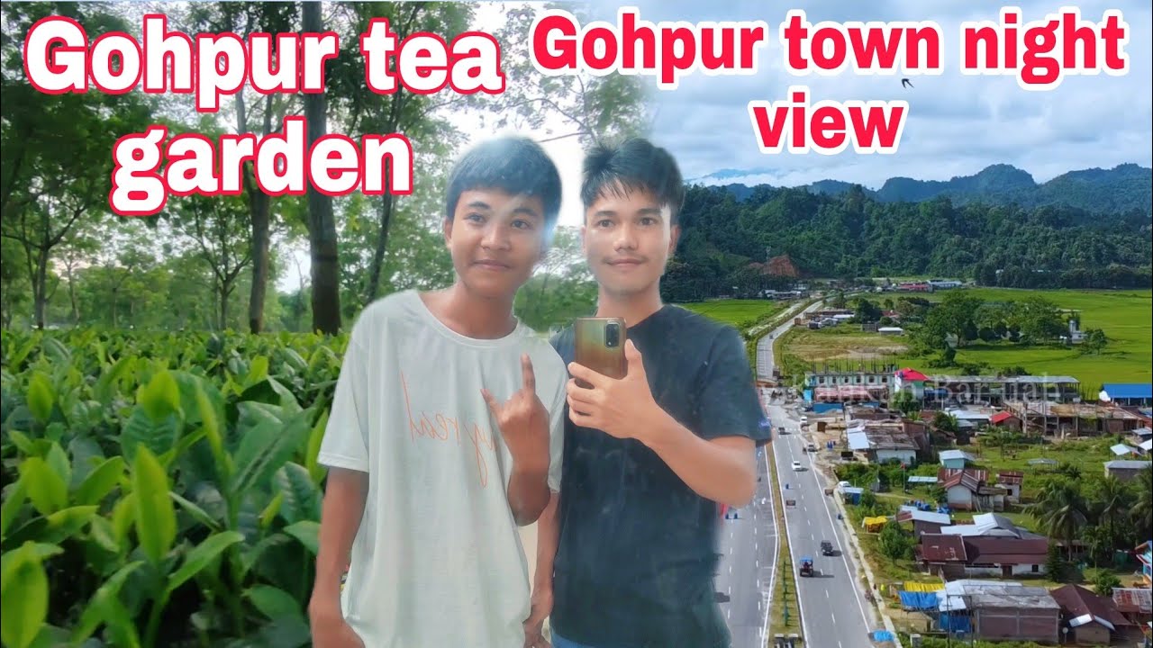 Gohpur tea garden। gohpur Konaklata borpukhuri। Gohpur town