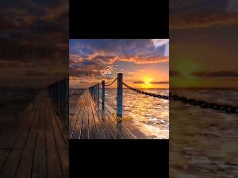 انت ف دمي حالات حالات واتس مقاطع محمد محي حب