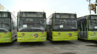 基隆港西岸碼頭 大都會公車 新購 大金龍 低底盤公車 基隆港西岸碼頭 大都會公車 新購 大金龍 低底盤公車